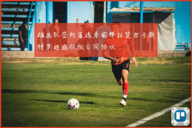 雄鹿队签约落选秀前锋拉斐尔卡斯特罗达成双向合同协议